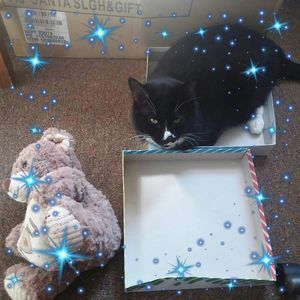 Meet your Posher, Lori